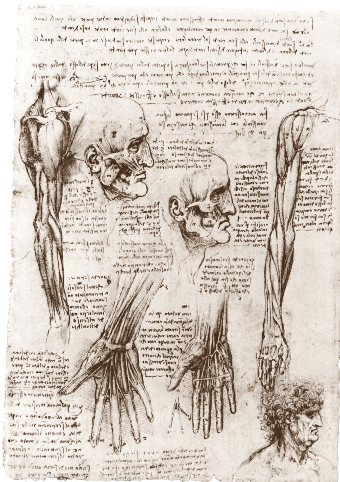 Leonardo+da+Vinci-1452-1519 (800).jpg